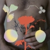 Gundelach – My Frail Body