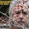 Gurf Morlix – Diamonds To Dust