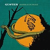 Guster – Ganging Up On The Sun