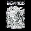 The Haermorrhoids – Apparatus Of The Ultimate Power