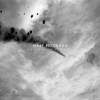 Half Moon Run - A Blemish In The Great Light