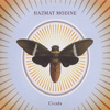 Hazmat Modine – Cicada