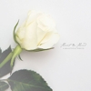 Heart In Hand – A Beautful White
