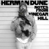 Herman Dune – Notes From Vinegar Hill