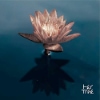 Her Tree – Don’t Try, Be Beautiful