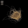 Hiss Golden Messenger – Terms Of Surrender