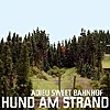 Hund am Strand – Adieu Sweet Bahnhof