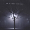 I Am Kloot – Sky At Night