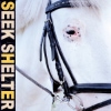 Iceage – Seek Shelter