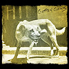 Ill – Gotten Gains