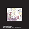 Incubus – HQ Live