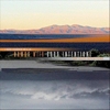 I See Hawks In L.A. & The Good Intentions – Hawks With Good Intentions