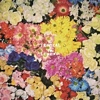 Is Tropical – I’m Leaving