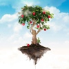 Jack Foster III (Jazzraptor) – Apple Jack Magic