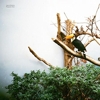 Jacob Bellens – Polyester Skin
