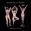 Jealous Of The Birds – Widsom Teeth