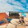 Jenny Hval – Classic Objects