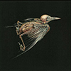 Jenny Hval & Susanna – Meshes Of Voices