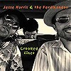 Jesse Harris & The Ferdinandos – Crooked Lines