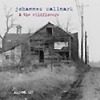 Johannes Wallmark & The Wildflowers – Akron OH