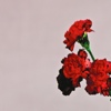 John Legend - Love In The Future