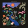 José González – Local Valley