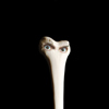 Juana Molina – Halo