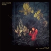 Julia Holter – Aviary