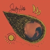 Katie von Schleicher – Shitty Hits