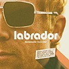 Labrador – Instamatic Lovelife