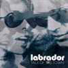 Labrador – Talk Of This Town