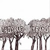 The Ladybug Transistor – Here Comes The Rain