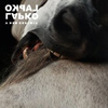 Lapko – A New Bohemia