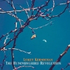 Lesley Kernochan – The Hummingbird Revolution