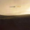 Lilium – Felt
