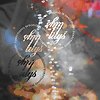 The Lilys - Everything Wrong Is Imaginary