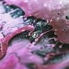 Linkin Park – From Zero