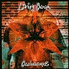 Living Colour - Collideoscope