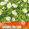 Loving The Sun – Dreaming Of More