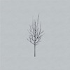 Low – Ones And Sixes