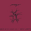 Mago – Definition Of Raw Moments From A Different Perspective