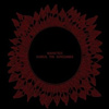 Manatees – Icarus, The Sunclimber