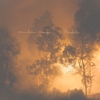 Mandolin Orange - Blindfaller