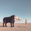 Man Man – Dream Hunting In The Valley Of The In-Between