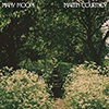 Martin Courtney – Many Moons