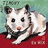 Mary Timony - Ex Hex