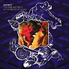Matmos - The Rose Has Teeth In The Mouth Of The Beast