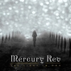 Mercury Rev – The Light In You