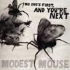 Modest Mouse – No One’s First, And You’re Next