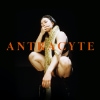 Mulay – Antracyte